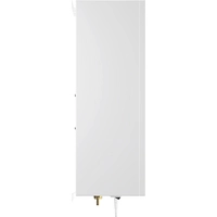 Отопительный котел Thermex Tesla 12-24 Wi-Fi