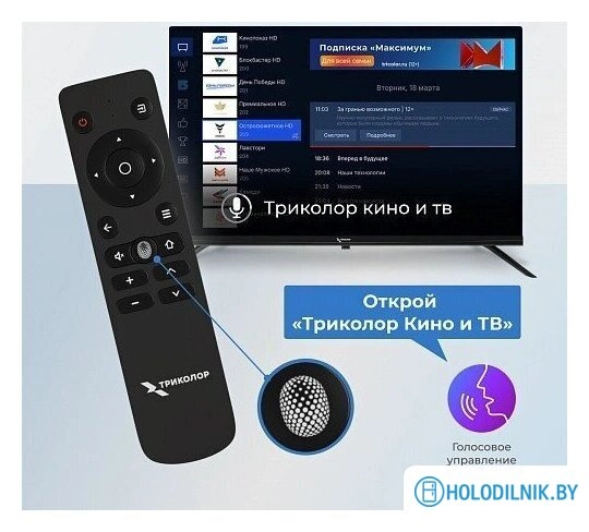 Телевизор Триколор P24HH302