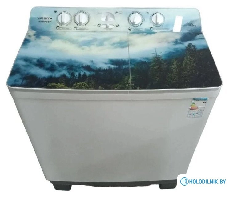 Активаторная стиральная машина Vesta WMG100P Nature 01