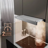 Кухонная вытяжка Weissgauff TEL 06 2M IX