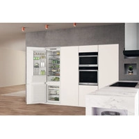 Холодильник Whirlpool WHC20 T352